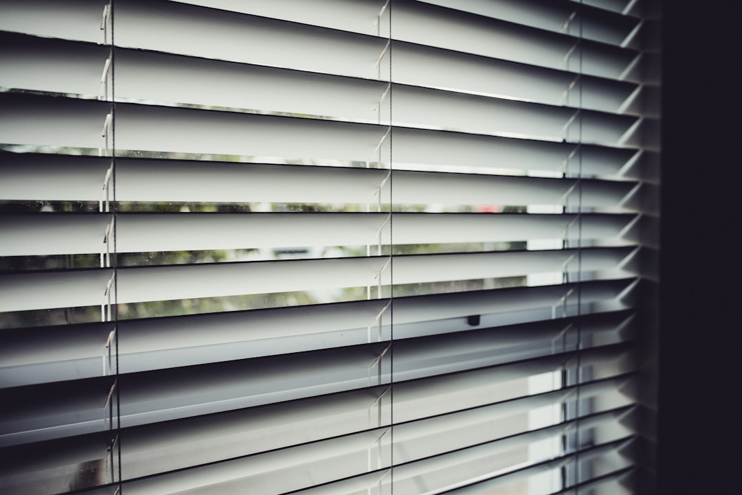 Photo Window Blinds