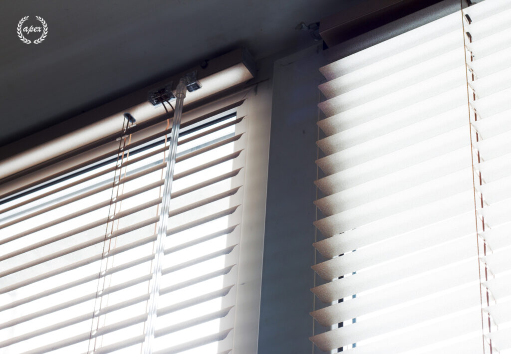 Apex Blind | 10 Innovative Modern Window Treatments For Smart Homes In 2025 Day &Amp; Night Blinds (Dual Roller Shades)