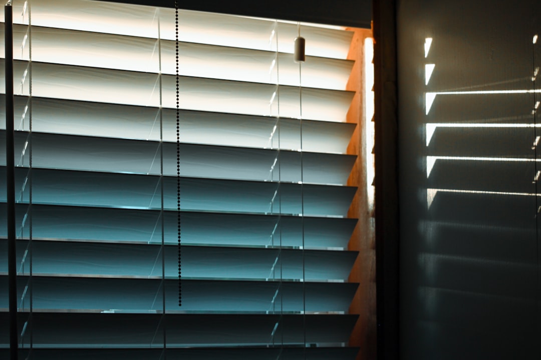 Photo energy saving blinds