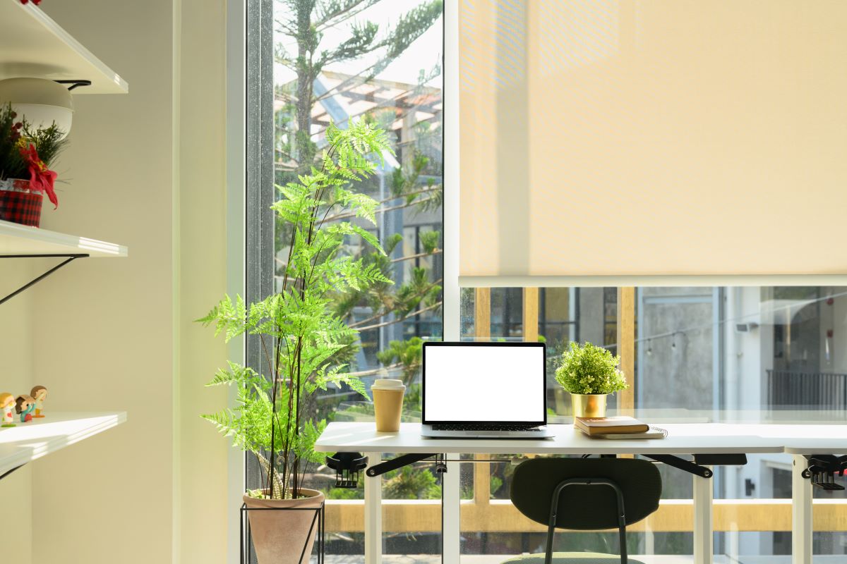 Roller Blinds For A Home Office